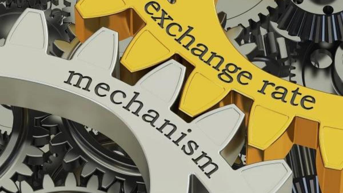 آلية سعر الصرف (erm): التعريف والهدف والأمثلة