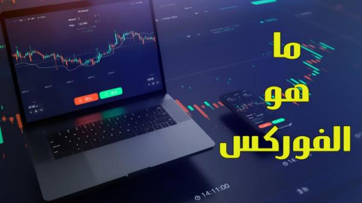 ما هو تداول الفوركس؟ دليل المبتدئين
